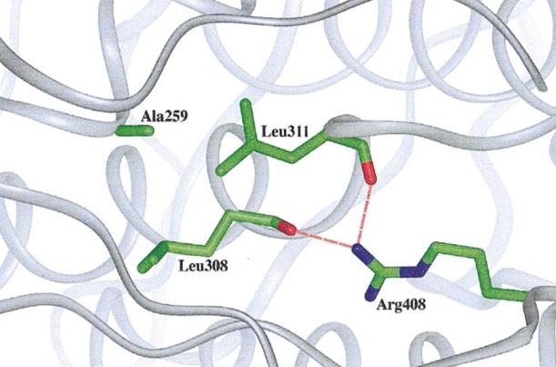 Image:Fig 3 3.jpg