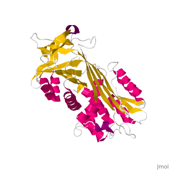 Image:Helices_and_sheets_animation.gif