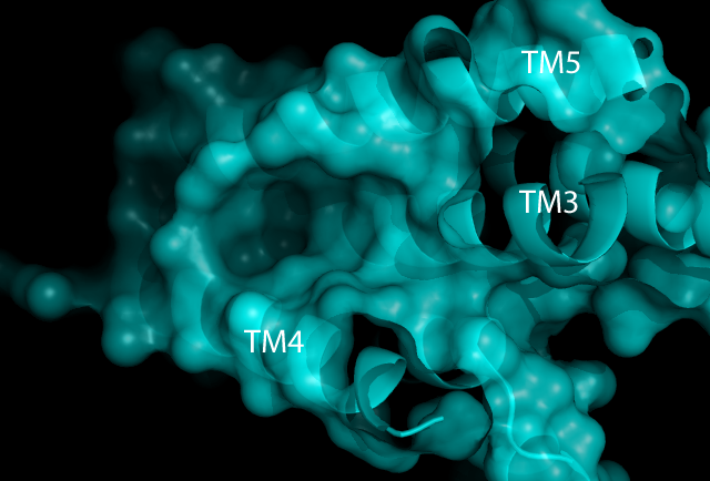 Image:HGPR40bind2.png