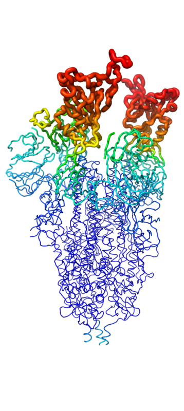 Figure 1. The coolest image of this protein EVAH!!!