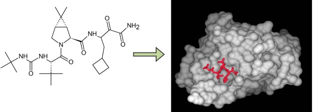 Image:Boceprevir bound to NS3 active site.jpg