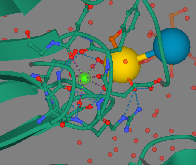 Image:CalciumComplex.png