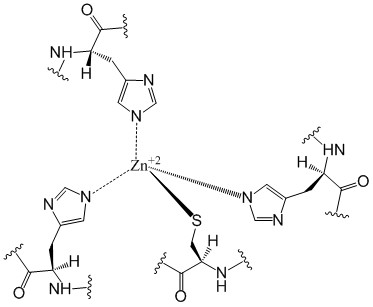 Image:Zinc coordination DgcZ.jpg