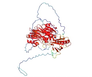 Image:Screen Shot 2022-04-29 at 9.29.29 AM Small.jpeg