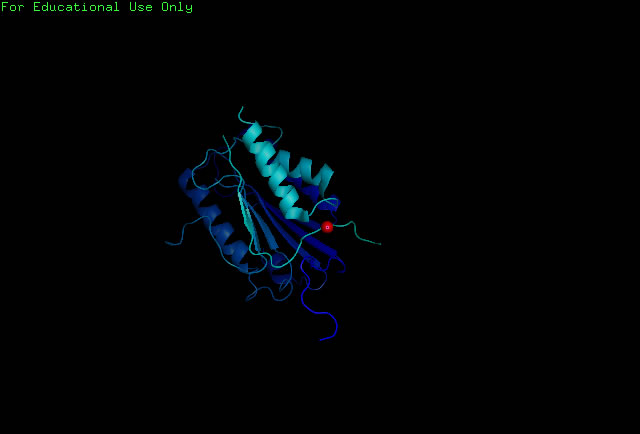 Image:1 Subunit with Zinc.jpg