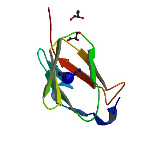 Image:2nqc bio r 500.jpg