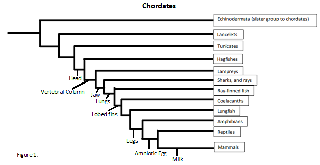 Figure 6.