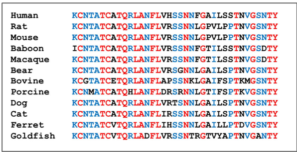 Image:Conserved residues.png
