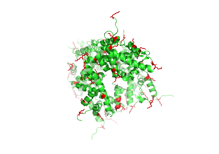 Image:Histone Core.png