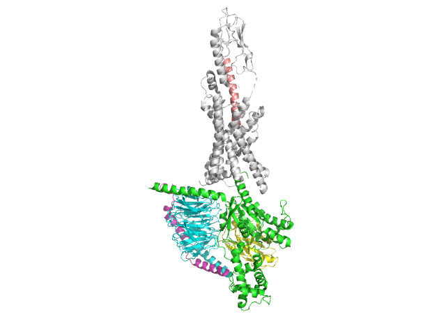 Image:GLP-1 Bound to GLP-1R.png