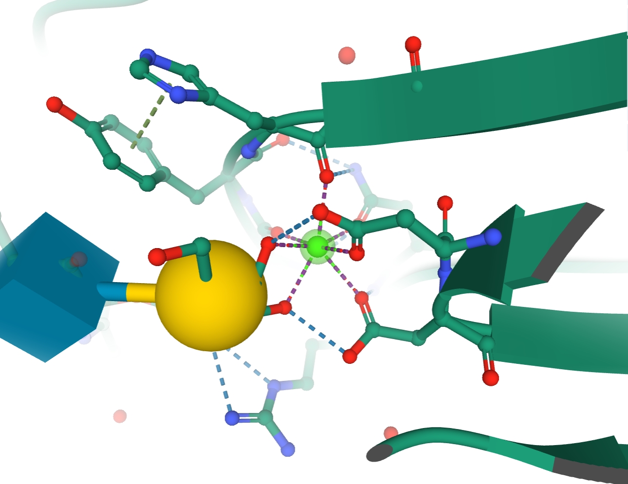 Image:Hydrogen bonds and metal interactions1.jpg