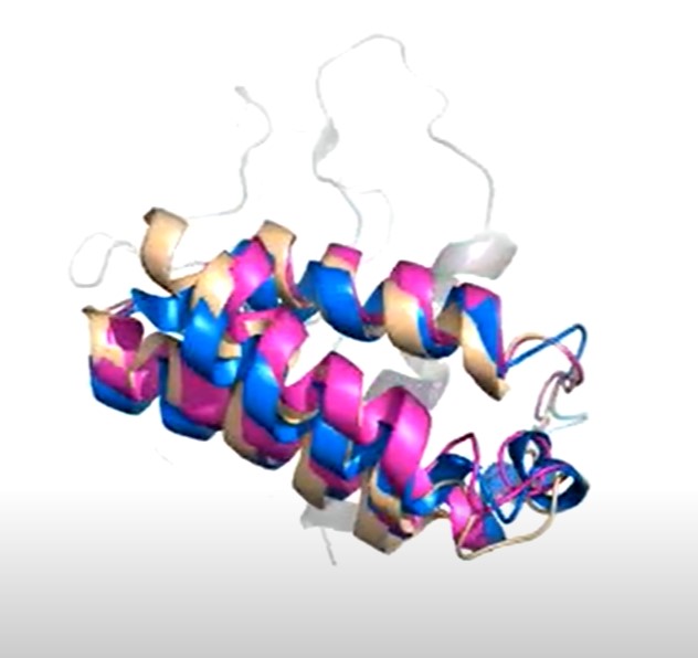 Image:Superimposed ramps 2.jpg