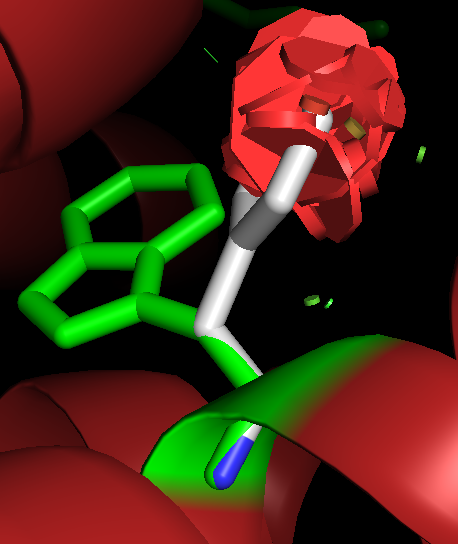 Fig18: Mutation W → F → 269.