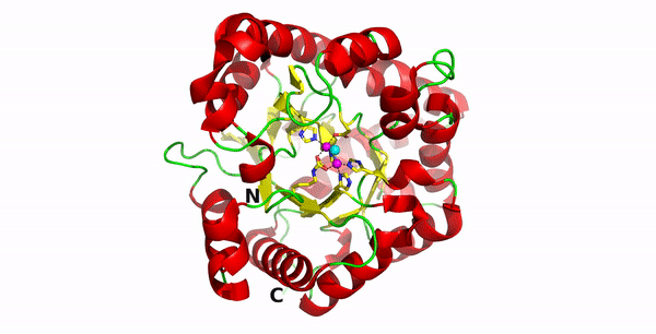 Image:Fig 01S.gif