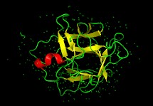 Image:Fig 3b fujr.jpg