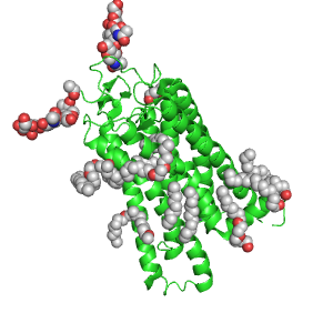 2D Bovine Rhodopsin