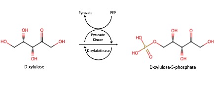Image:Mechanisms.jpg