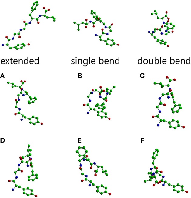 Molecular models of Leu-enkephalin in the three main conformations. Figure 1 from Sanfelice et al., Front. Mol. Biosci.,  https://doi.org/10.3389/fmolb.2014.00014