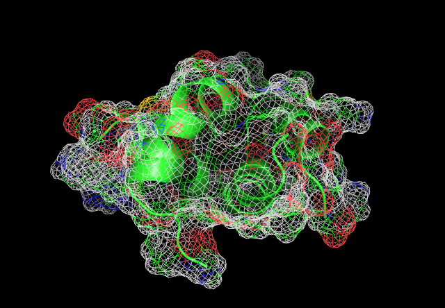Image:Protein mesh.png