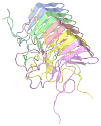 Image:200px-2rnm.png