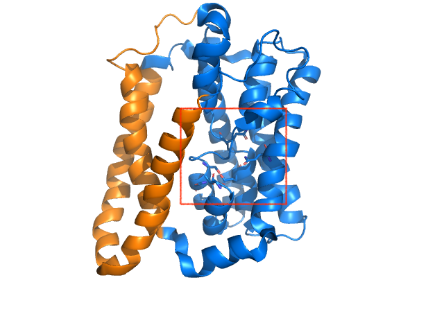Image:Active site large.png
