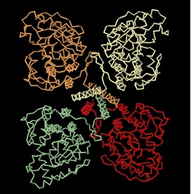 Image:PAH tetramer complex.jpg