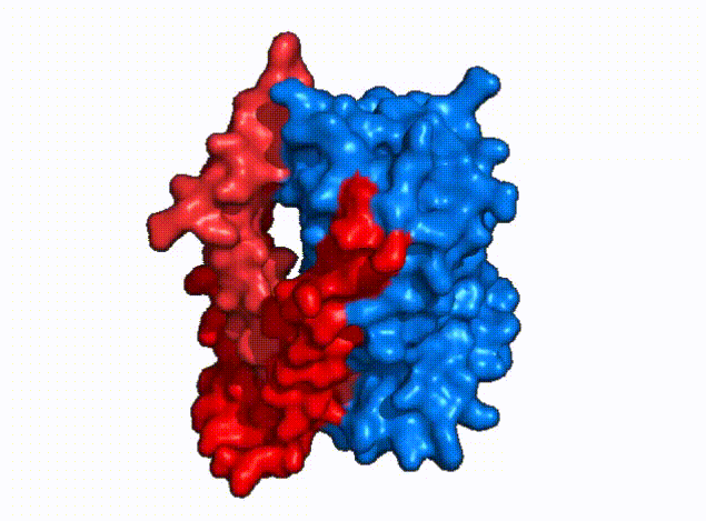 Image:Surface morph.gif