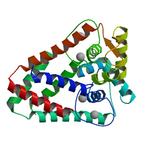 Image:3TGN bio r 500.jpg