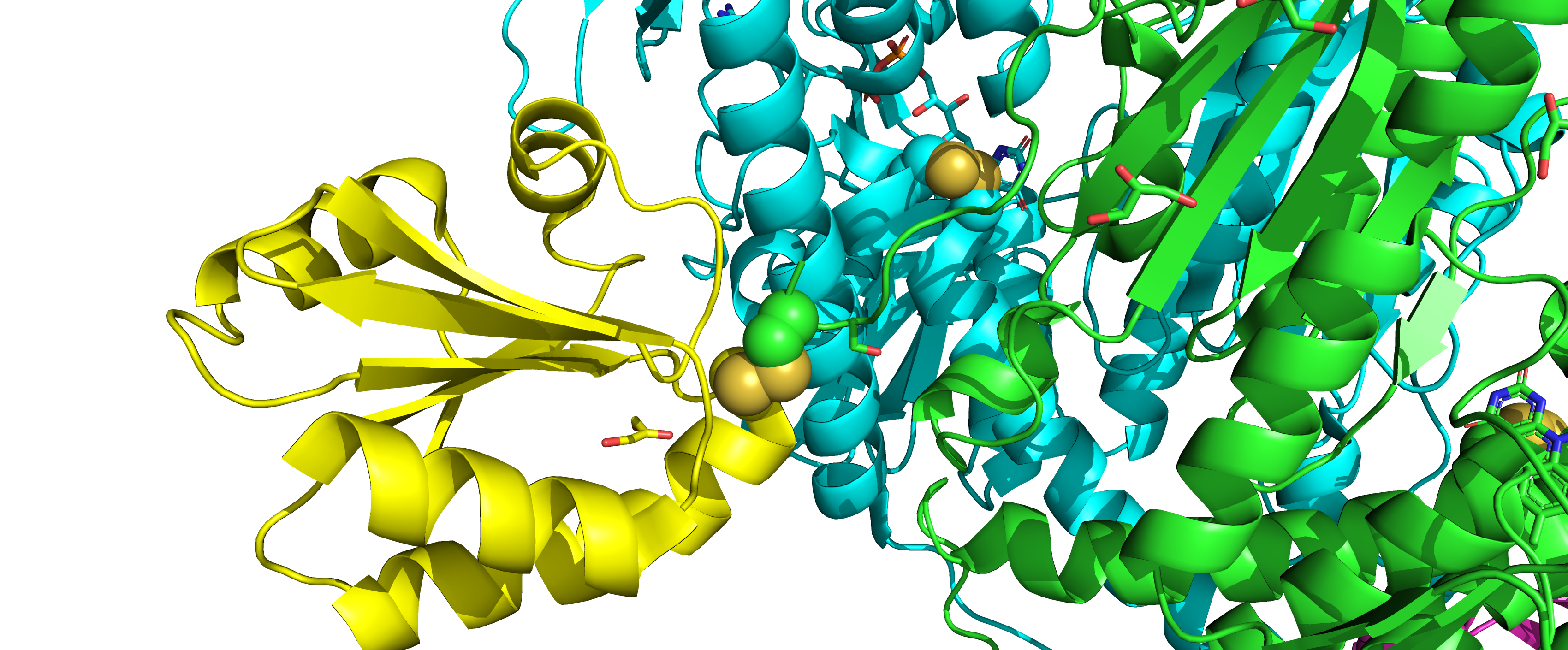 Image:CtermRedox.png