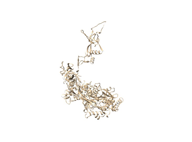 Image:A135ribbon.jpg
