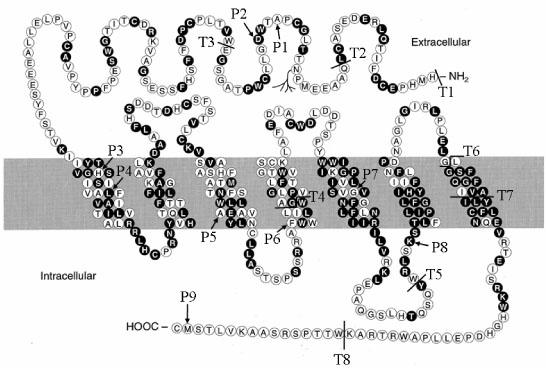 Image:Jkse-21-173-g003-l.jpg