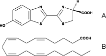 Comparison of the chemical structures of (A) firefly D-LH2 and (B) arachidonic acid,