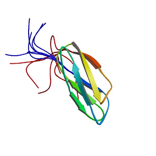 Image:2d7n asym r 500.jpg