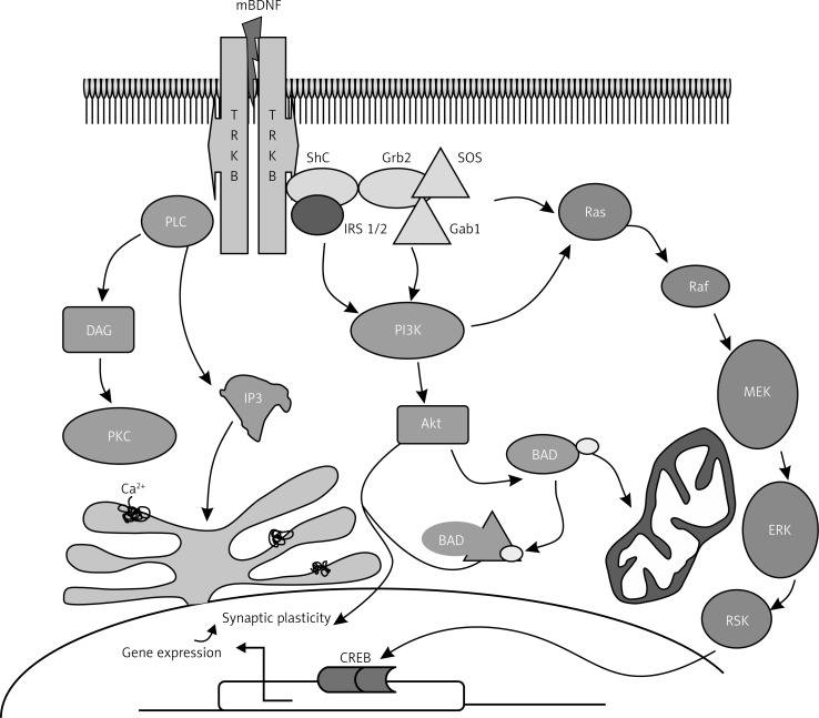 Image:AMS-11-26363-g003.jpg