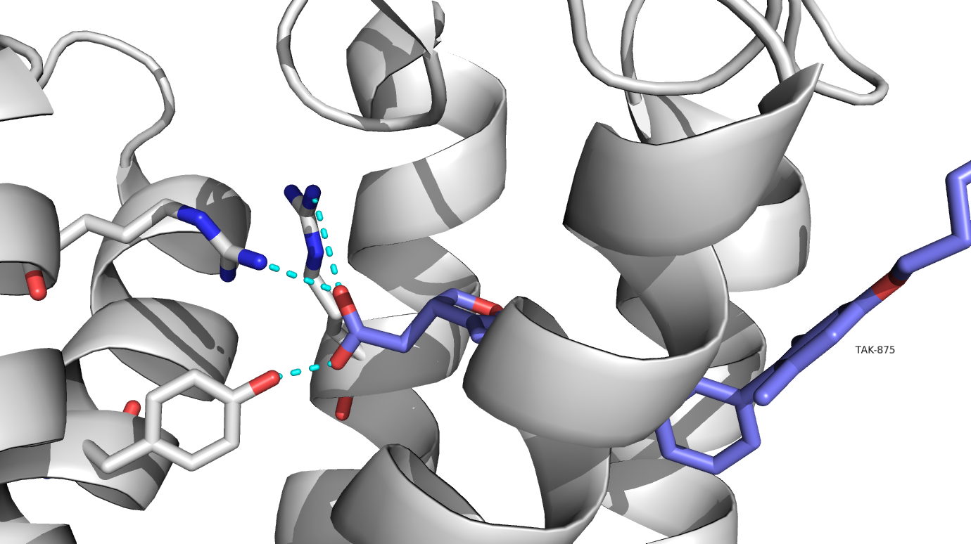 Image:Better hydrogen bonding 2.png