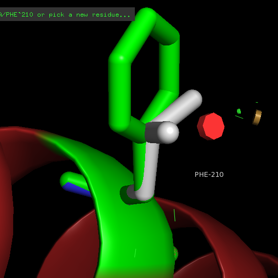 Fig16: Mutation F → L → 210.