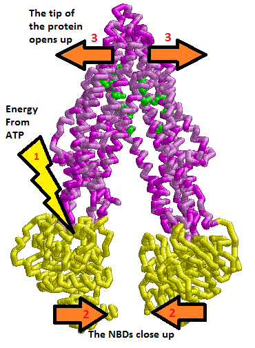 Image:Pgp Movement Diagram.png