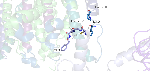 Image:Newly labled hook region.png