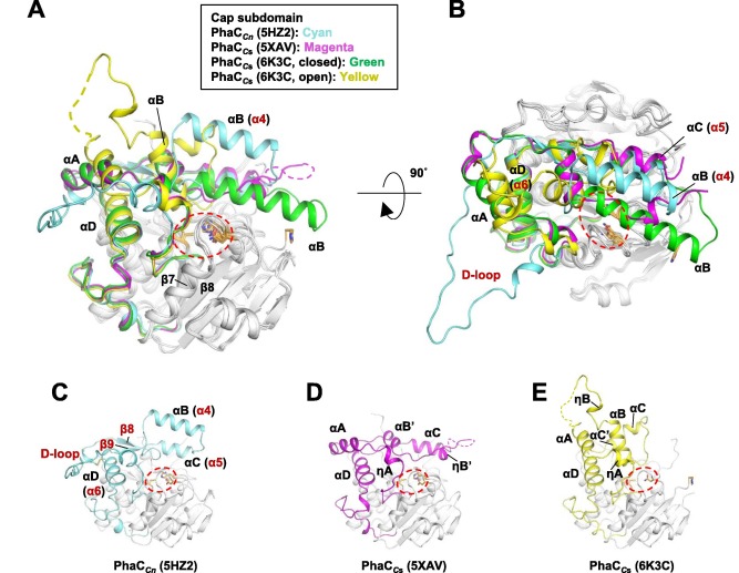 Image:Proteins-quaternary.jpg