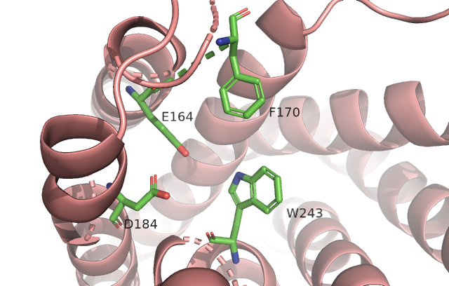 Image:Active site M2.png