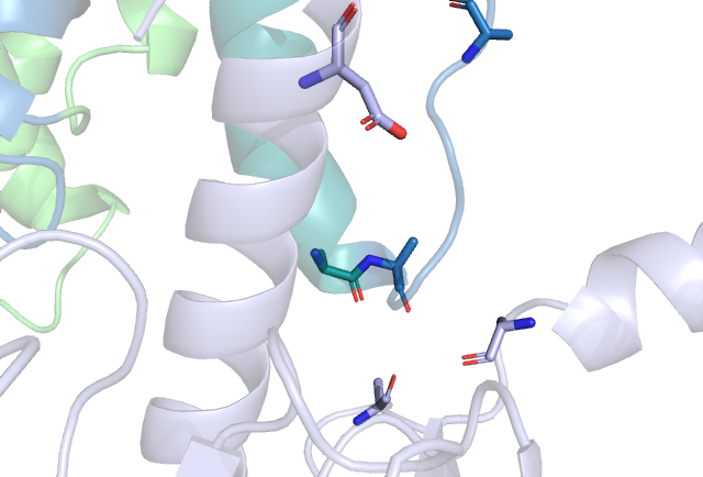Image:G protein recognition site.png