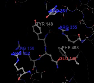 Image:zoom binding site.jpg