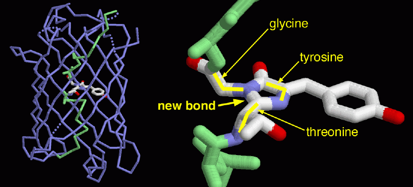 Image:1emaBiomics.gif