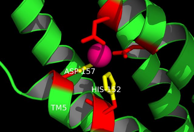Image:Site A.png