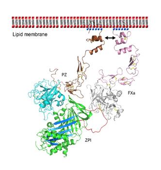 Image:Figure 4.JPG