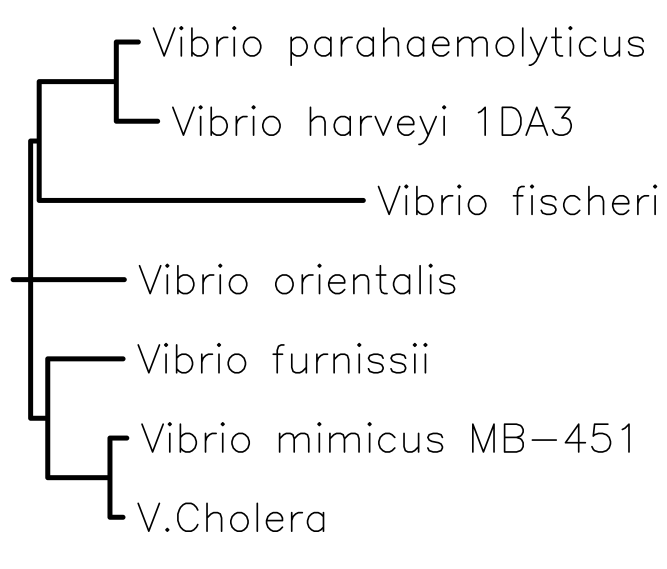 Image:LuxO Tree.png