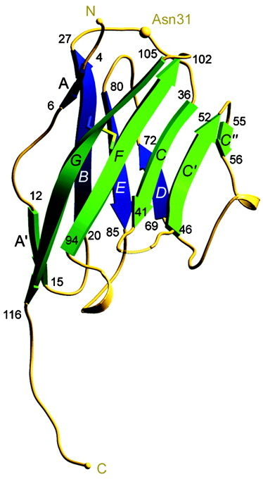 Image:MOGstructure1.png