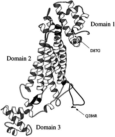 Image:Domain.jpg