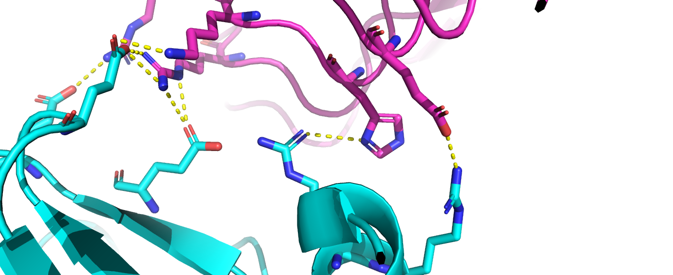 Image:2p0.png