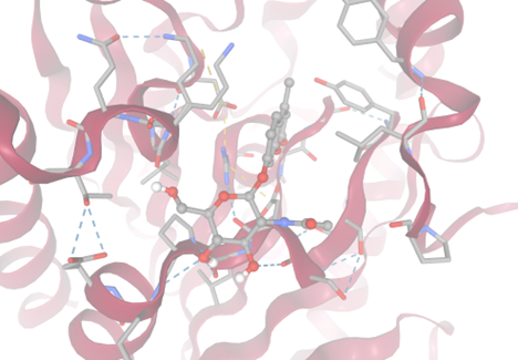 Image:4-Methylumbelliferyl 2-acetamido-2-deoxy-beta-D-glucopyranoside.png